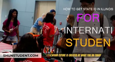Get Your Illinois State ID: A Guide for International Students