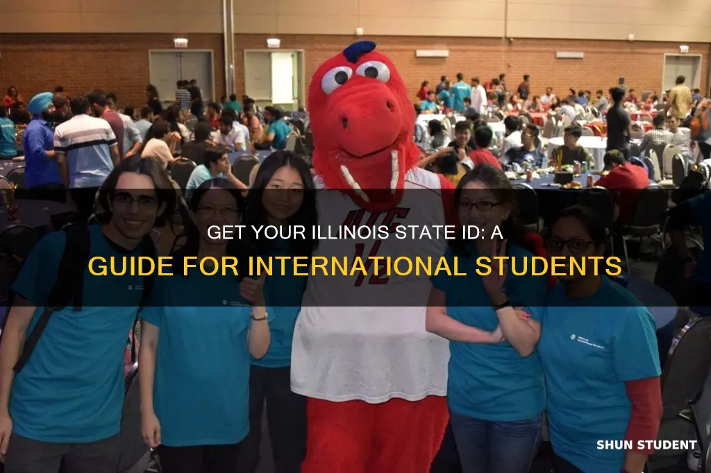 how to get state id in illinois for international students