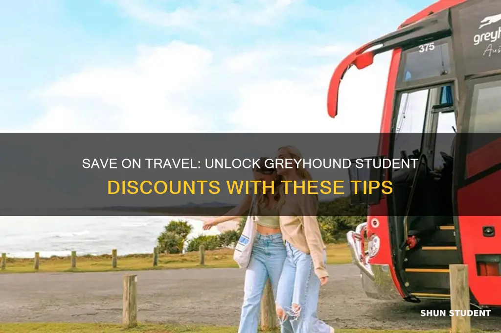 how to get student discount on greyhound