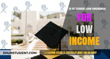 Unlock Student Loan Forgiveness: Low-Income Relief Guide