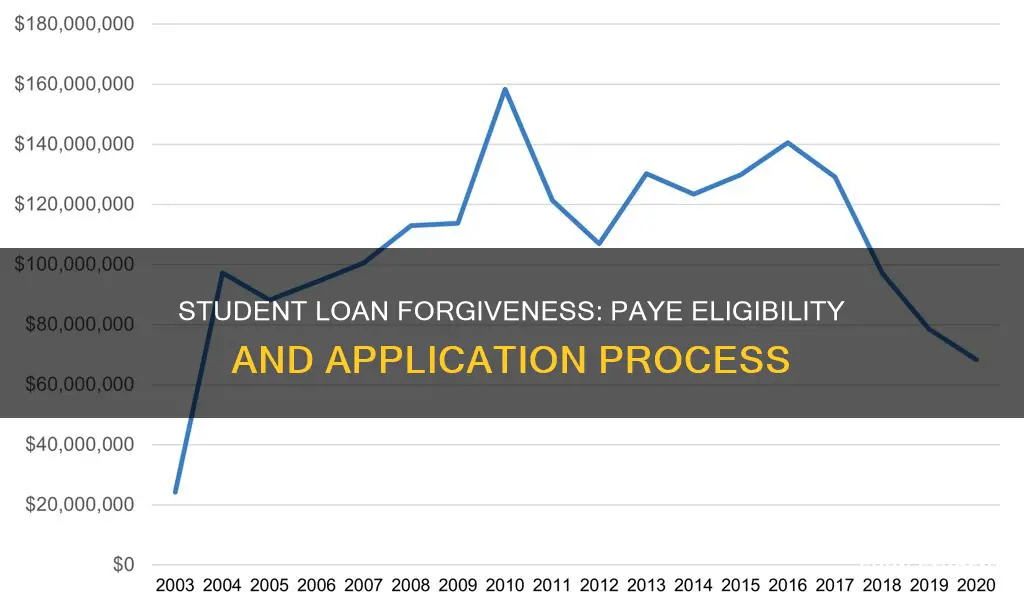 how to get student loan forgiveness paye