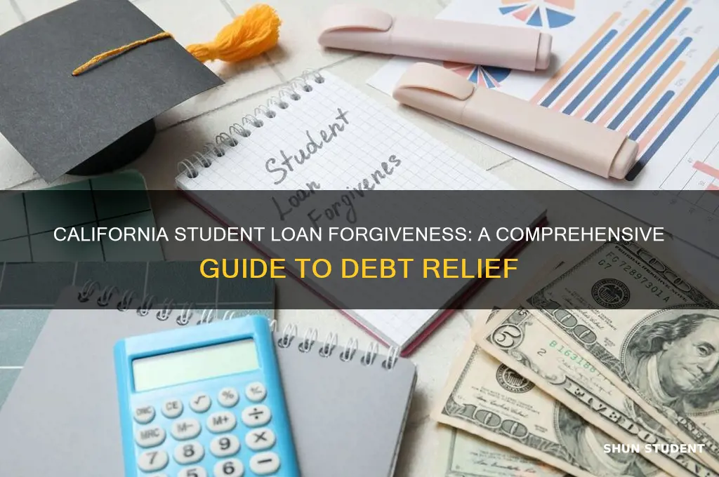 how to get student loans forgiven in california