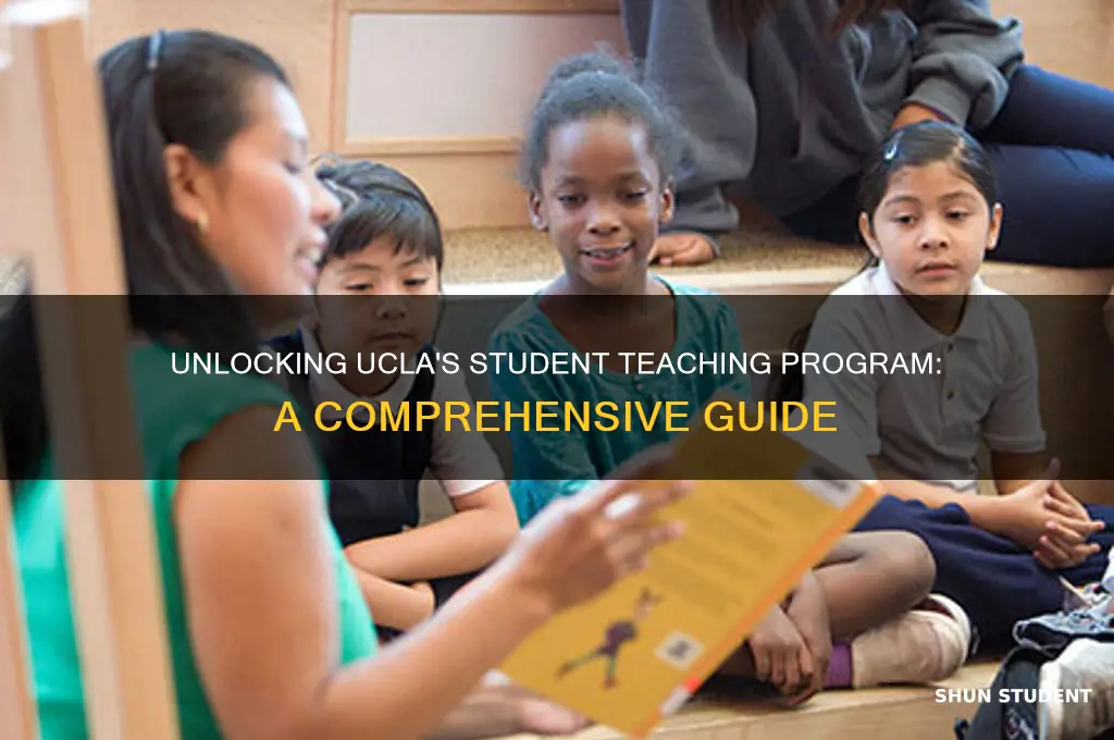 how to get student teacher ucla