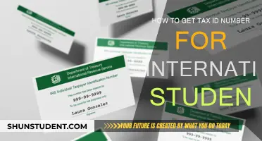 International Students: Get Your Tax ID Easily