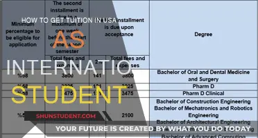 International Students: Getting Tuition Support in the USA