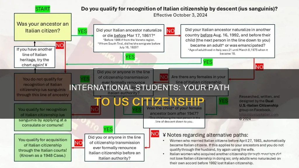 how to get us citizenship as an international student