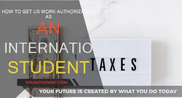 International Students: Work Authorization in the US
