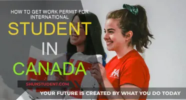 International Students: Work Permits for Canada Simplified