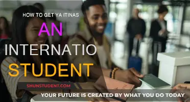 Get Your ITIN: A Guide for International Students