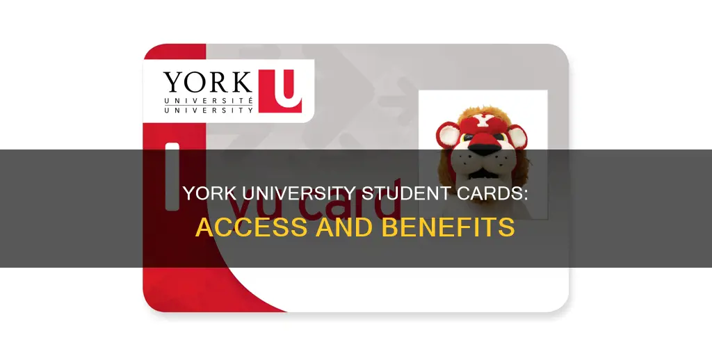 how to get york university student card