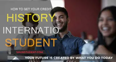 Unlocking Credit History: A Guide for International Students