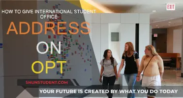 Addressing OPT: International Student Office Location