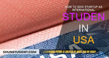 International Students: Launching Startups in the USA