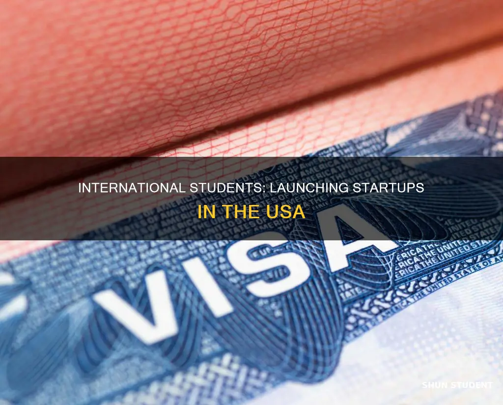 how to give startup as international students in usa