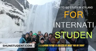Study in Iceland: A Guide for International Students