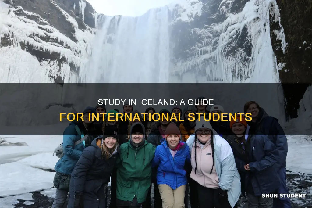 how to go study in iceland for international students