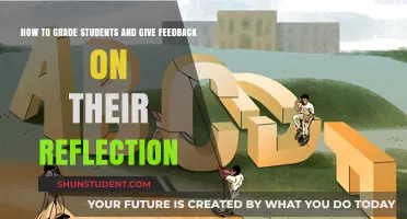 Effective Grading and Feedback Strategies for Student Reflections