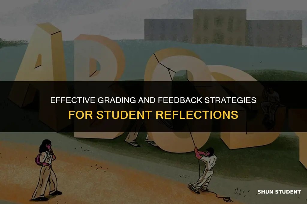 how to grade students and give feedback on their reflection