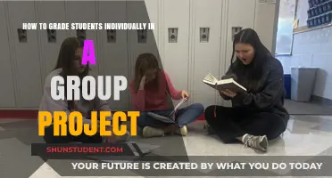 Assessing Individual Contributions in Collaborative Projects: A Guide for Educators