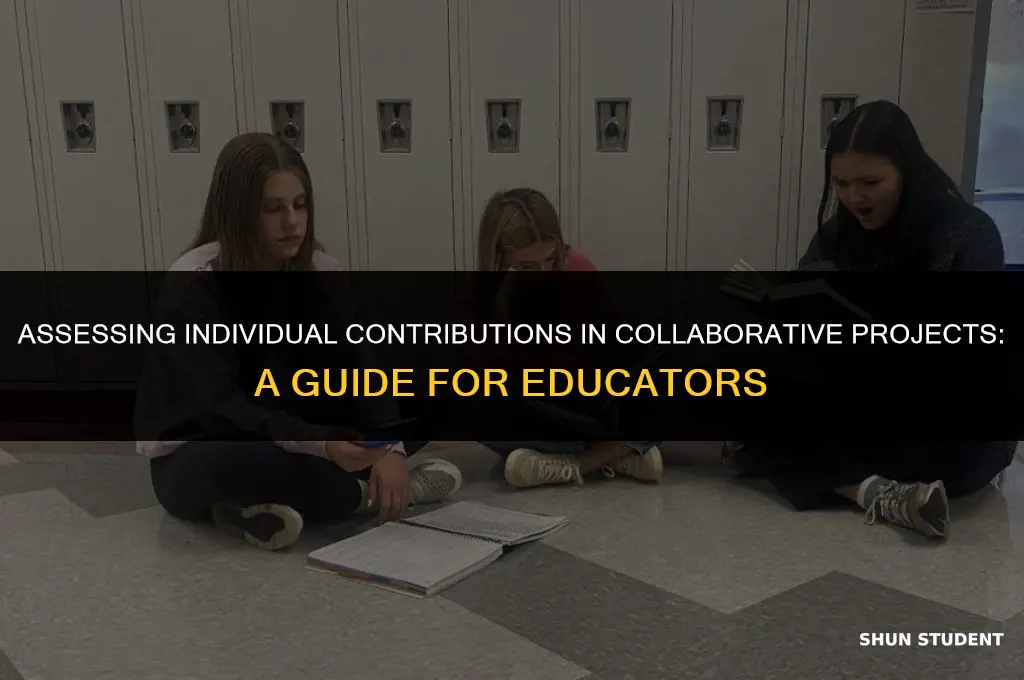 how to grade students individually in a group project