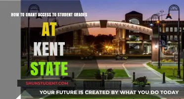 Empowering Educators: A Guide to Granting Access to Student Grades at Kent State