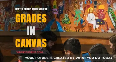 Effective Strategies for Grouping Students in Canvas for Grades
