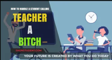Addressing Classroom Disrespect: Strategies for Handling Student Insults Professionally