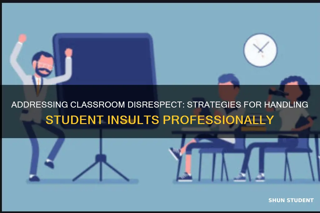 how to handle a student calling teacher a bitch