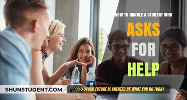 Empowering Students: Effective Strategies to Support Help-Seeking Learners