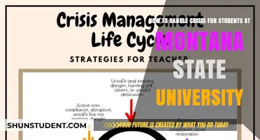 Coping with Crisis: Strategies for Montana State Students