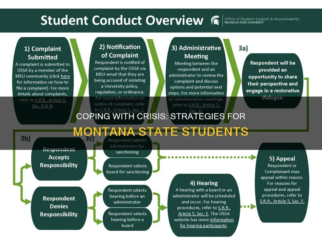 how to handle crisis for students at montana state university