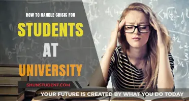 Navigating University Crises: Strategies for Student Success