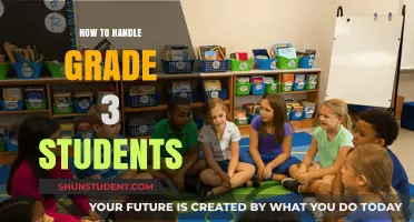 Effective Strategies for Teaching and Managing Grade 3 Students