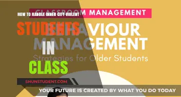 Strategies for Managing Violent Behavior in Inner City Classrooms
