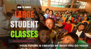 Effective Strategies for Managing Large Student Classes