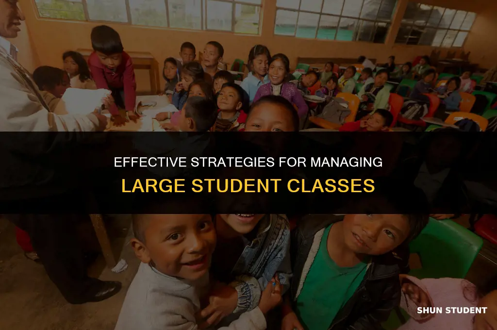 how to handle large student classes