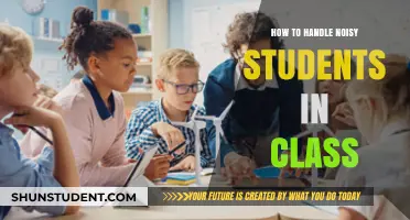 Managing Classroom Chaos: Strategies for Handling Noisy Students