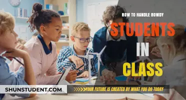 Managing Classroom Chaos: Strategies for Handling Rowdy Students