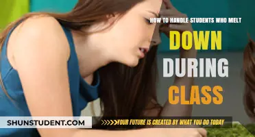 Strategies for Managing Classroom Meltdowns: A Teacher's Guide