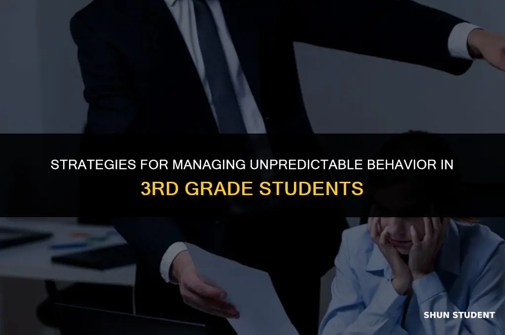 how to handle unpredictable 3rd grade students