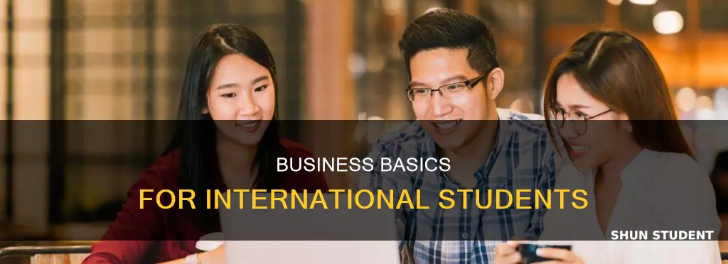 how to have a business as an international student