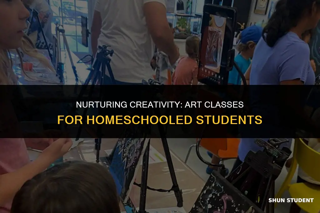 how to have art classes for homeschooled students