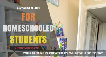 Homeschooling Simplified: Creative Class Ideas for Students Aged 8-10