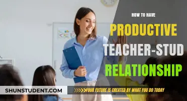 Building Productive Teacher-Student Relationships: Strategies for Success in Education