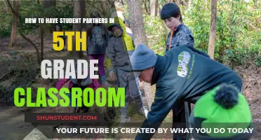 Fostering Collaboration: A Guide to Student Partnerships in 5th Grade