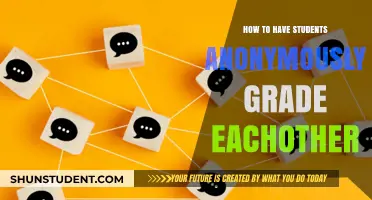Peer Grading Anonymously: Enhancing Student Feedback and Learning