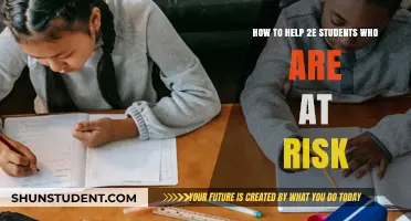 Supporting 2e Students: Strategies to Prevent At-Risk Outcomes