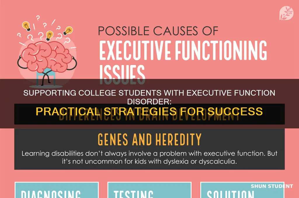 how to help a college student with executive function disorder