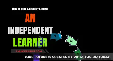 Empowering Students: Strategies to Foster Independent Learning Skills
