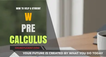 Mastering Pre-Calculus: Effective Strategies to Support Student Success